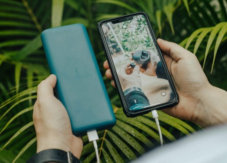 From above of crop unrecognizable person transferring information from cellphone to portable hard drive using USB connector near fern leaves